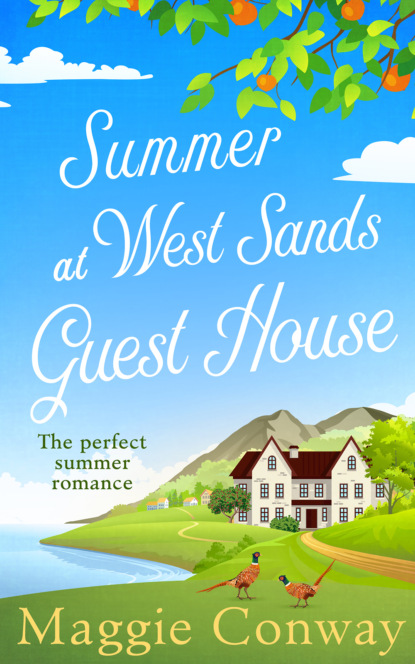 Скачать книгу Summer at West Sands Guest House: A perfect feel good, uplifting romantic comedy