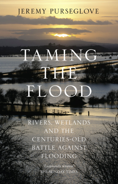 Скачать книгу Taming the Flood: Rivers, Wetlands and the Centuries-Old Battle Against Flooding