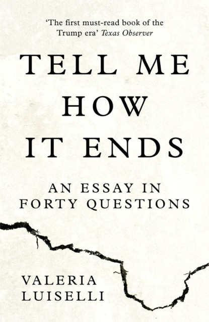 Скачать книгу Tell Me How it Ends: An Essay in Forty Questions