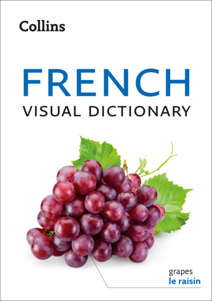 Скачать книгу Collins French Visual Dictionary