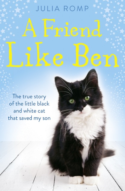 Скачать книгу A Friend Like Ben: The true story of the little black and white cat that saved my son