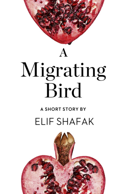 Скачать книгу A Migrating Bird: A Short Story from the collection, Reader, I Married Him