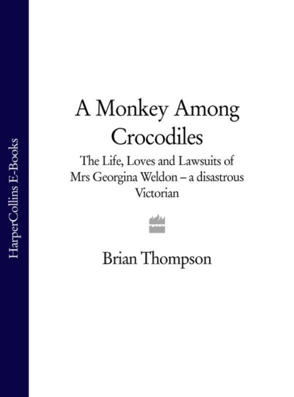 Скачать книгу A Monkey Among Crocodiles: The Life, Loves and Lawsuits of Mrs Georgina Weldon – a disastrous Victorian [Text only]