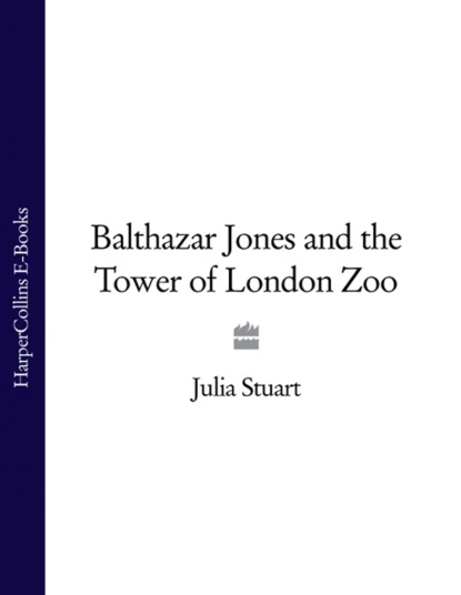 Скачать книгу Balthazar Jones and the Tower of London Zoo