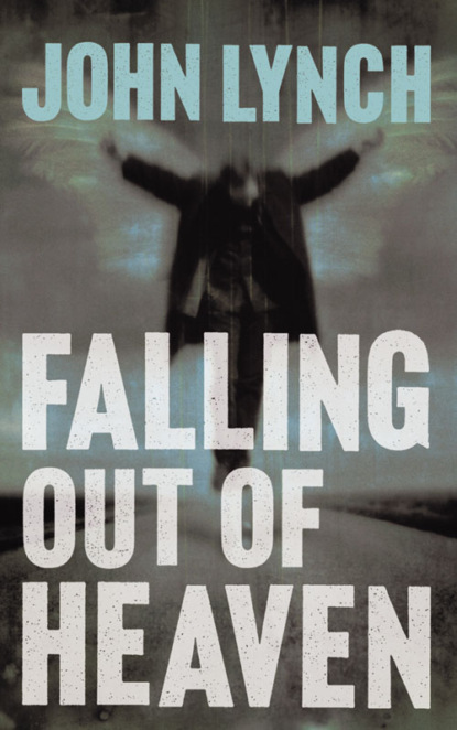 Скачать книгу Falling out of Heaven