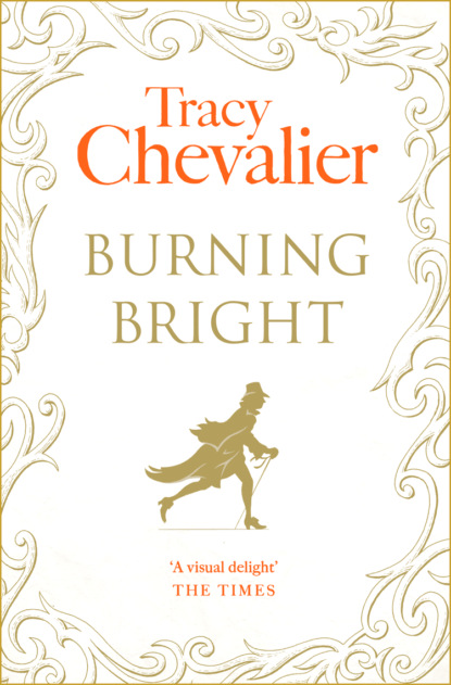 Скачать книгу Burning Bright