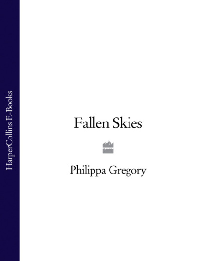 Скачать книгу Fallen Skies