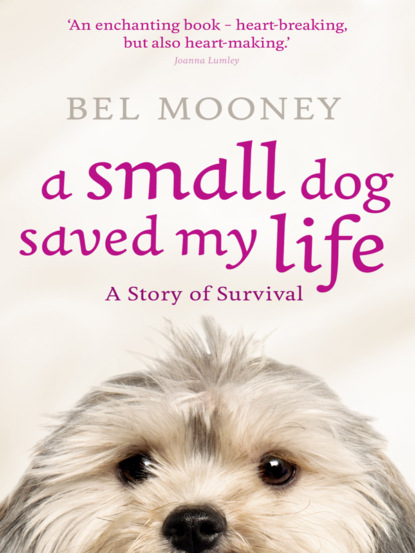 Скачать книгу A Small Dog Saved My Life