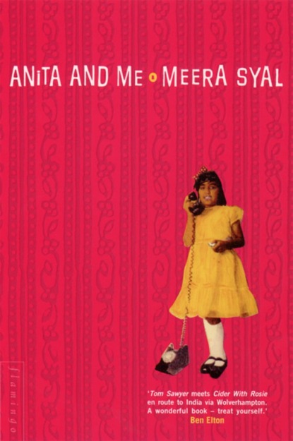 Скачать книгу Anita and Me