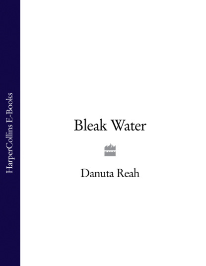 Скачать книгу Bleak Water