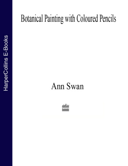 Скачать книгу Botanical Painting with Coloured Pencils