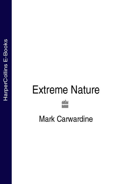 Скачать книгу Extreme Nature