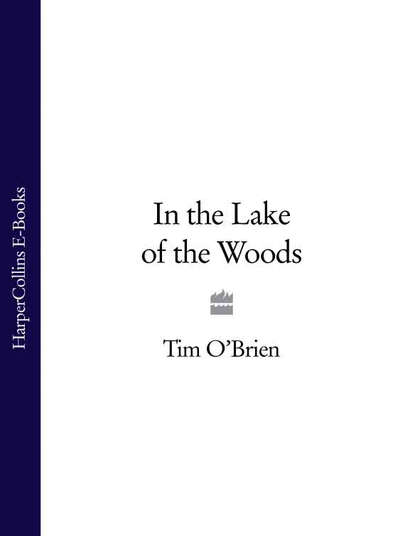 Скачать книгу In the Lake of the Woods