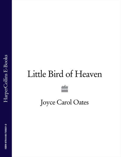 Скачать книгу Little Bird of Heaven