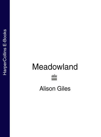 Скачать книгу Meadowland