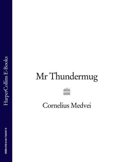 Скачать книгу Mr Thundermug