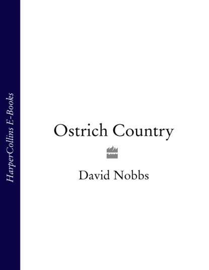 Скачать книгу Ostrich Country