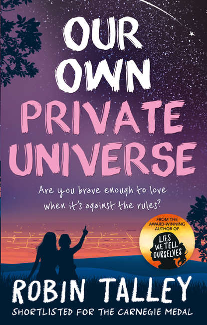 Скачать книгу Our Own Private Universe