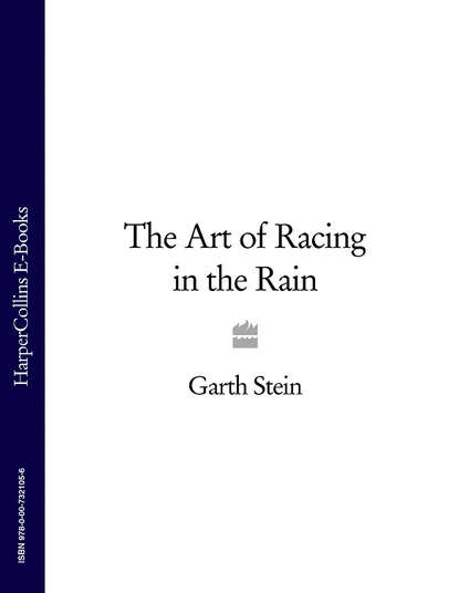 Скачать книгу The Art of Racing in the Rain