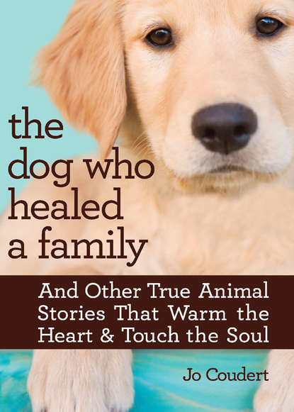 Скачать книгу The Dog Who Healed A Family
