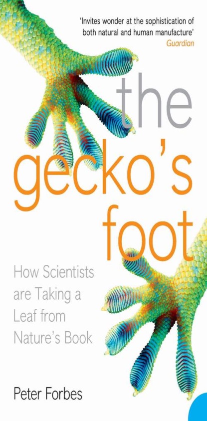 Скачать книгу The Gecko’s Foot: How Scientists are Taking a Leaf from Nature's Book
