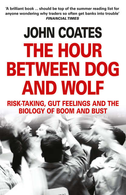 Скачать книгу The Hour Between Dog and Wolf: Risk-taking, Gut Feelings and the Biology of Boom and Bust