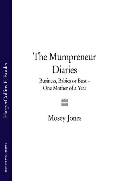 Скачать книгу The Mumpreneur Diaries: Business, Babies or Bust - One Mother of a Year