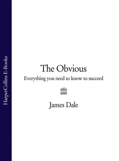 Скачать книгу The Obvious: Everything You Need to Know to Succeed