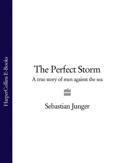 Скачать книгу The Perfect Storm: A True Story of Men Against the Sea
