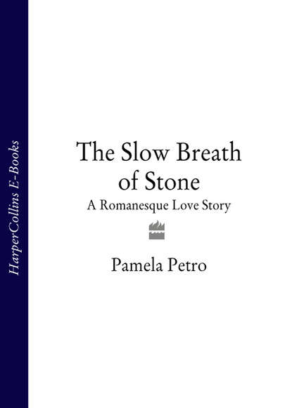 Скачать книгу The Slow Breath of Stone: A Romanesque Love Story