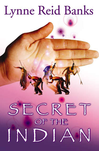 Скачать книгу Secret of the Indian