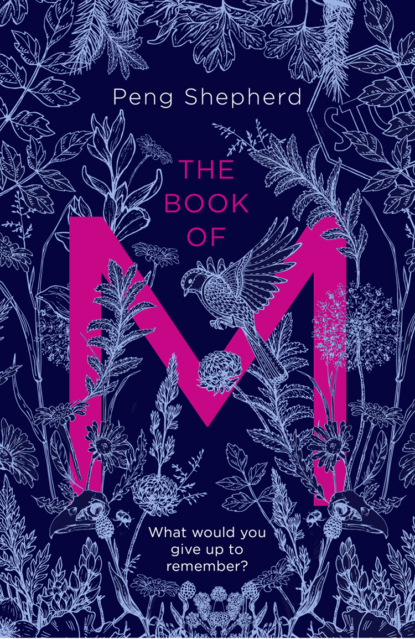 Скачать книгу The Book of M