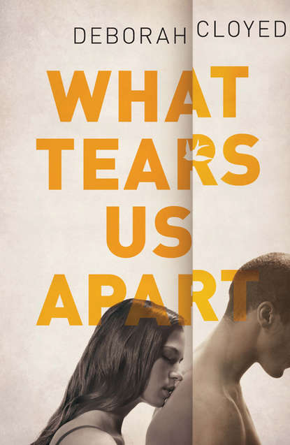 Скачать книгу What Tears Us Apart