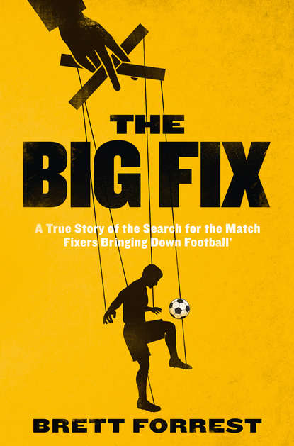 Скачать книгу The Big Fix