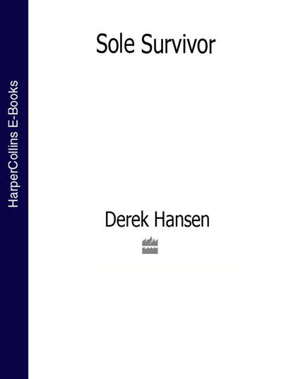 Скачать книгу Sole Survivor