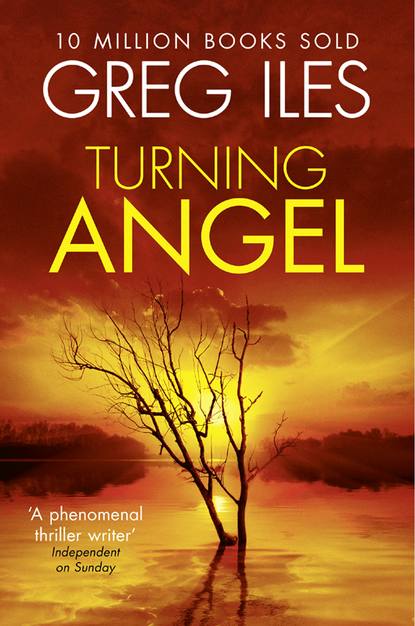 Скачать книгу Turning Angel