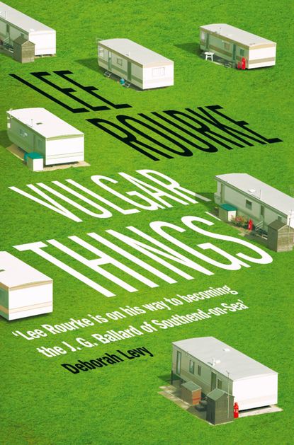 Скачать книгу Vulgar Things