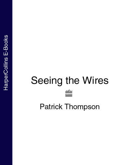Скачать книгу Seeing the Wires