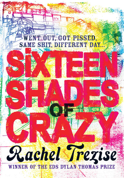 Скачать книгу Sixteen Shades of Crazy