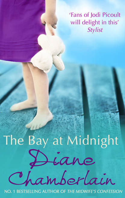 Скачать книгу The Bay at Midnight