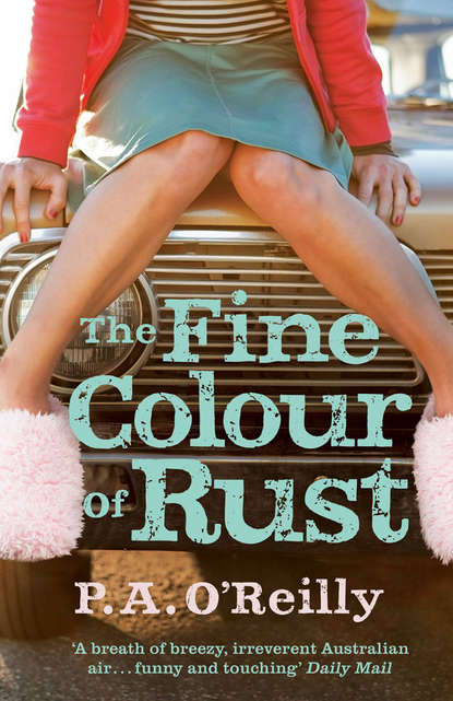 Скачать книгу The Fine Colour of Rust