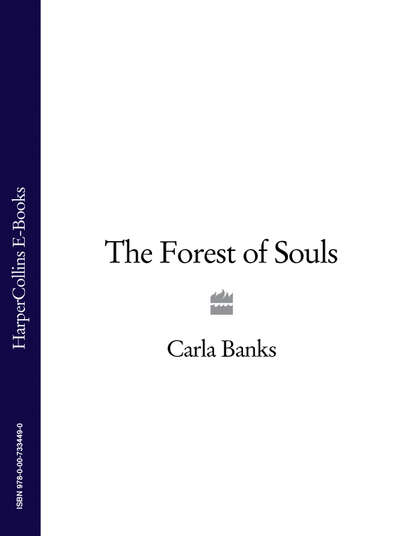 Скачать книгу The Forest of Souls