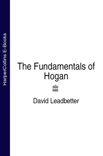 Скачать книгу The Fundamentals of Hogan