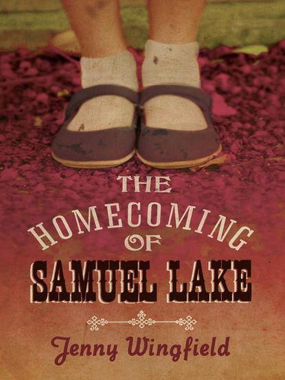 Скачать книгу The Homecoming of Samuel Lake