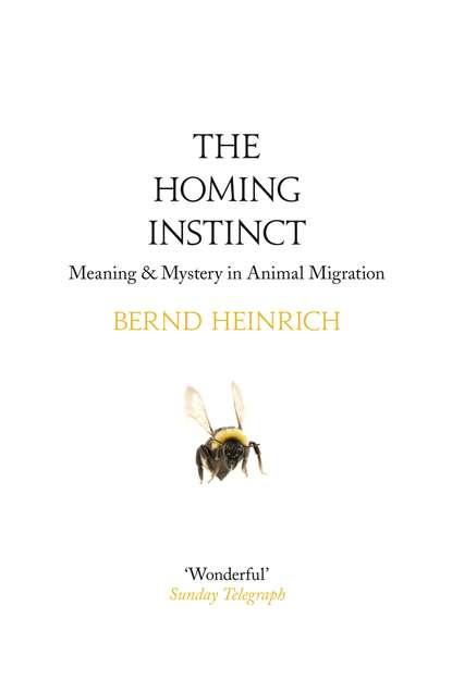 Скачать книгу The Homing Instinct: Meaning and Mystery in Animal Migration