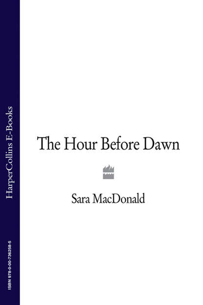 Скачать книгу The Hour Before Dawn