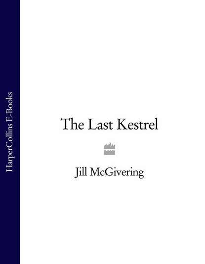 Скачать книгу The Last Kestrel