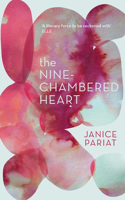 Скачать книгу The Nine-Chambered Heart