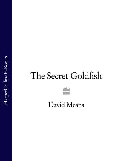 Скачать книгу The Secret Goldfish