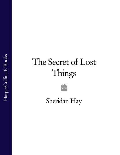 Скачать книгу The Secret of Lost Things